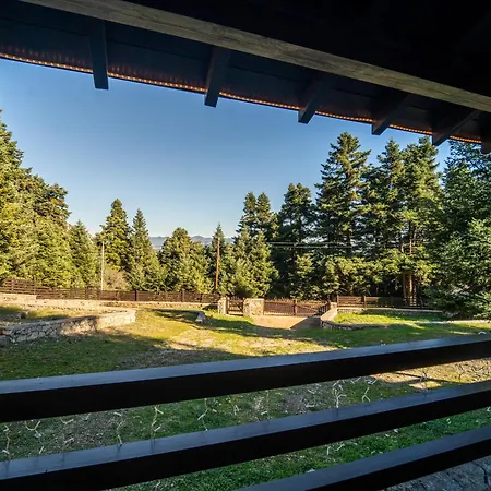 Dandy Villas Elatodasos - Chalet Artemis - Fir Forest - Jeep & Nature Lovers Eptalofos